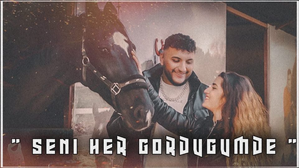 Şenol Evgi - Seni Her Gördüğümde Şarkı Sözleri