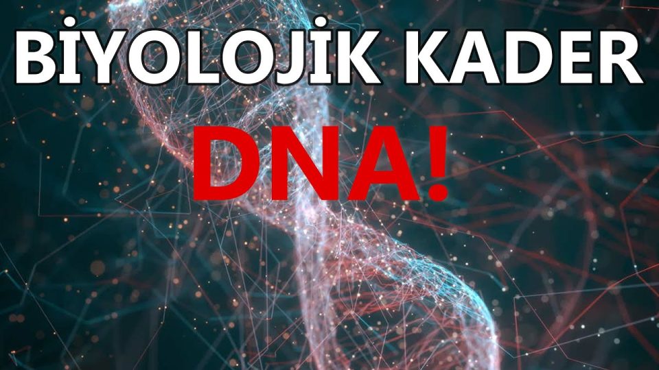 Kararı Veren Kim? Siz Mi, DNA Mı? (Fixed Action Patterns)