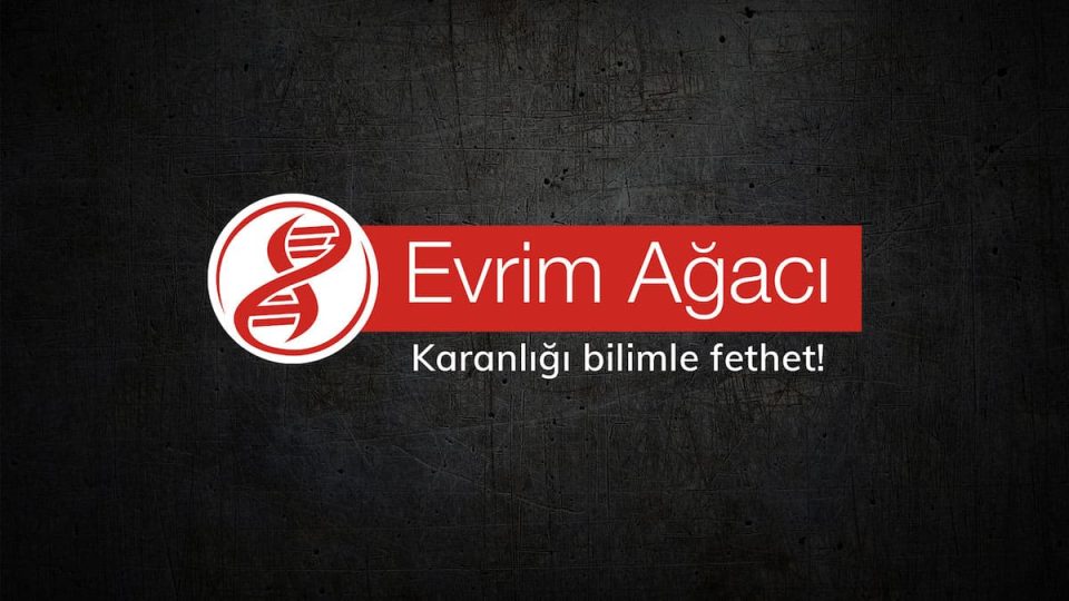 Evrim Ağacı Youtube Kanalı