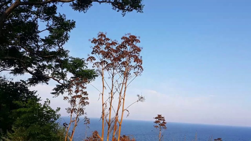 Antalya Eski Lara Yolu Barınaklar Yürüyüş - Antalya Gezi Tatil 19/27