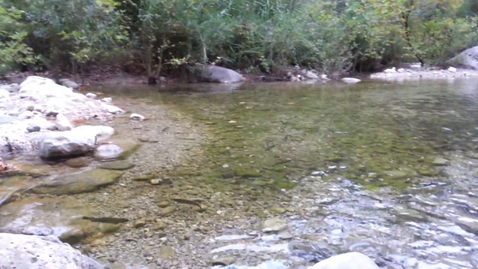 Yarıkpınar deresinde alabalıkların kavgası ve derenin güzelliği Kemer Tekirova Antalya Tatil Gezi