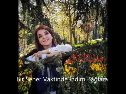 Adile Kurt KARATEPE - Bir Seher Vaktinde İndim Bağlara Sözleri
