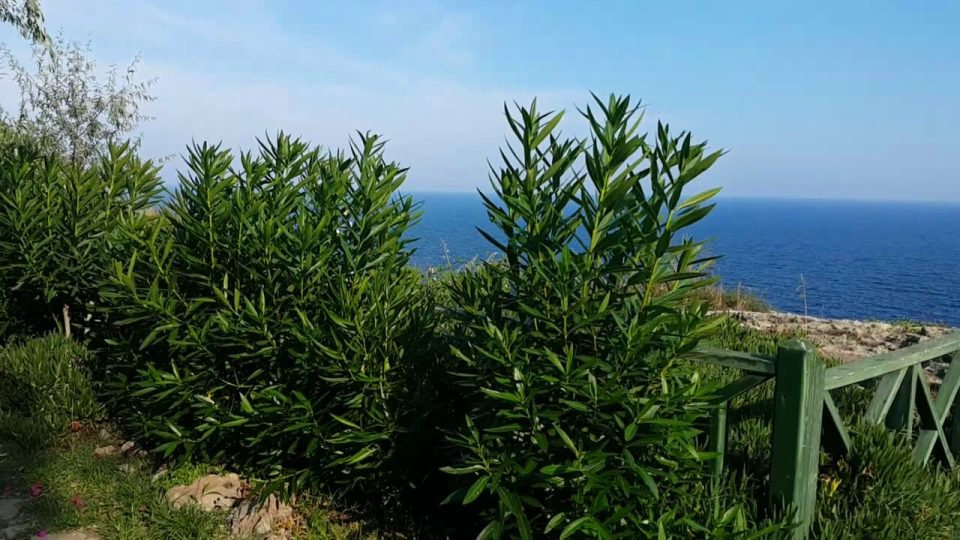 Antalya Eski Lara Yolu Barınaklar Yürüyüş - Antalya Gezi Tatil 3/27