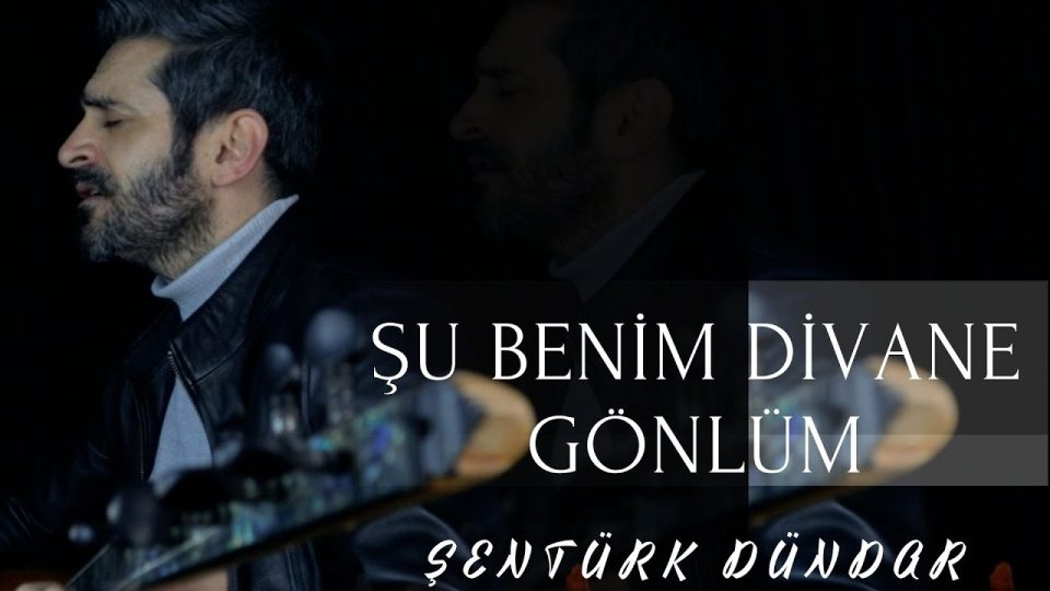 ŞENTÜRK DÜNDAR - Şu Benim Divane Gönlüm Sözleri