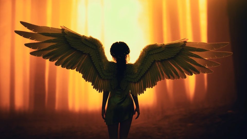 Meleklerin Müziği - Beden, Ruh Ve Ruhun Tüm Acılarını Iyileştiren Müzik, Meditasyon