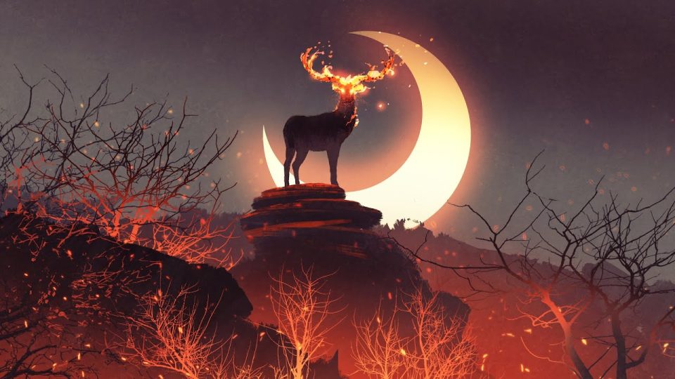 Ruhu, Bedeni Ve Meditasyonu Sakinleştirin
