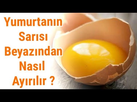 Yumurtanın sarısı beyazından nasıl ayırılır ? - Pratik Bilgiler