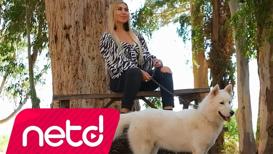 Sevda Sayan - Beni Unuttun