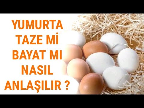 Yumurta taze mi bayat mı olduğu nasıl anlaşılır ? - Pratik Bilgiler