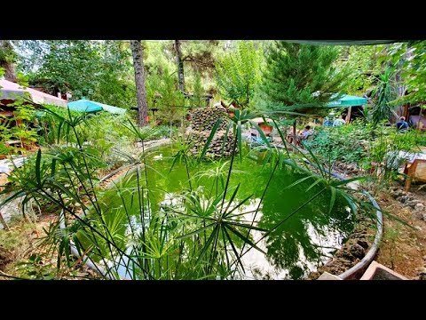 Antalya Kahvaltı Yerleri - Çakırlar Arife Kır Sofrası