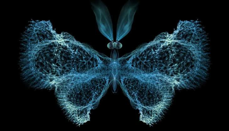On Chaos and Order – Ali Aksoy