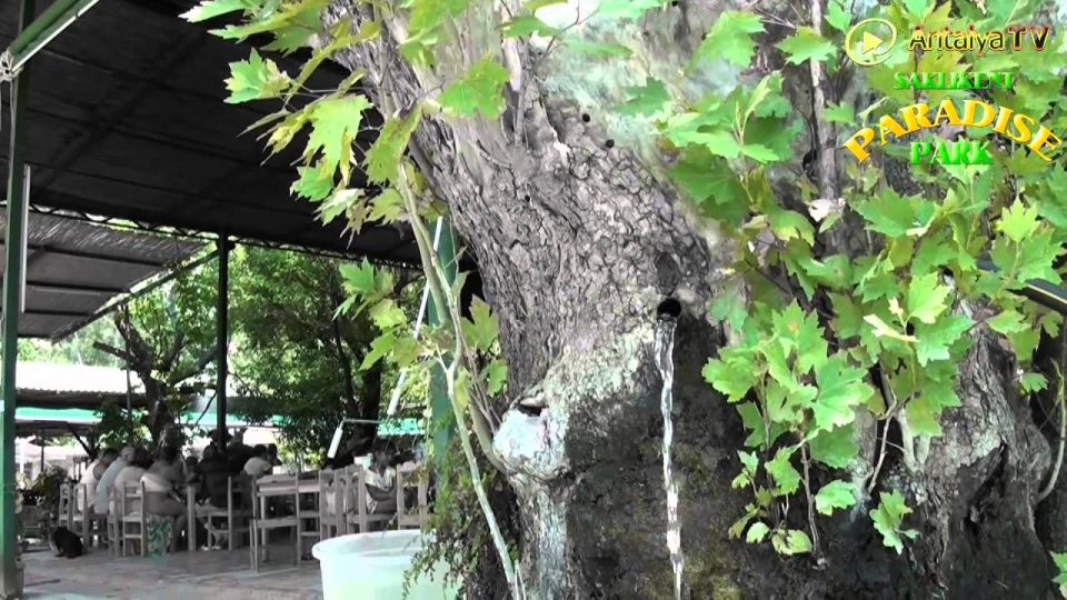 Fethiye Saklıkent Restaurant Kahvaltı Paradise Park Brunch Breakfast Natural Beauty Rafting
