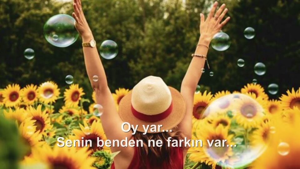 Gülüşlerin Gülüşümdür - Ali Aksoy