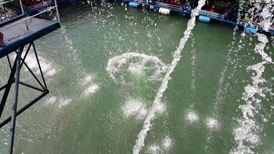 Alanya Dimçayı Suya Atlama Videosu İlginç Videolar