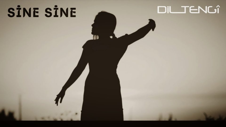 Dil Tengî - Sine Sine Şarkı Sözleri