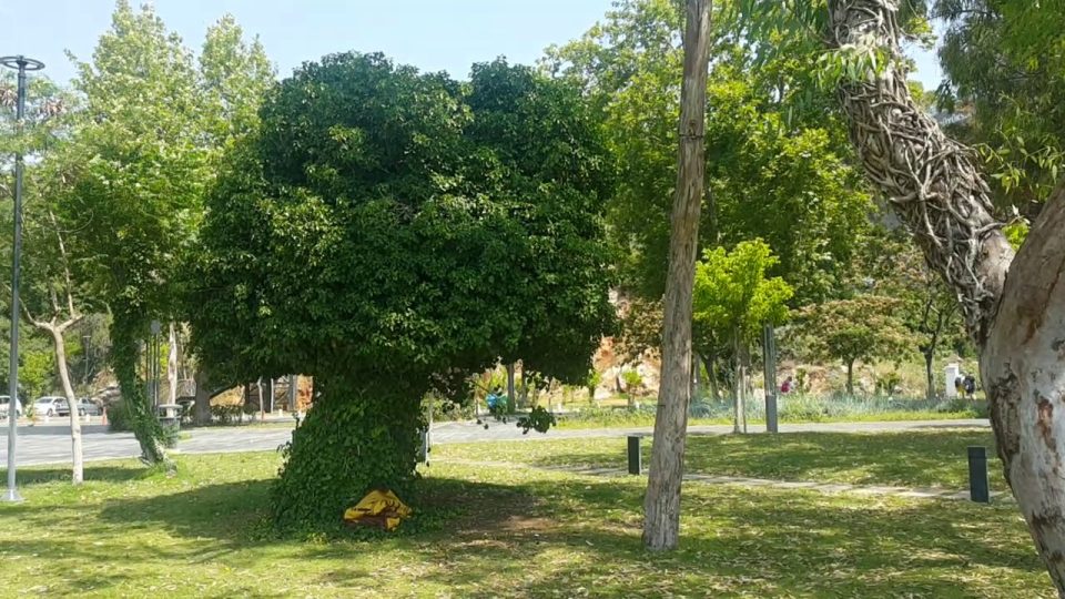 Antalya Beachpark Deniz Manzarası - Antalya Gezi Tatil