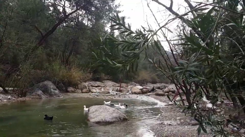 Yarıkpınar Deresi Tekirova Kemer Antalya Tatil Gezi Tur - Holiday in Kemer