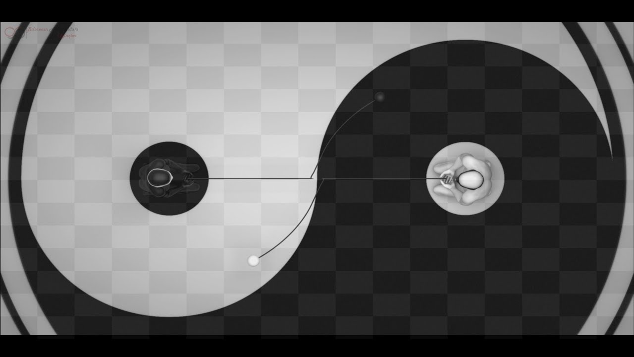| Yin ve Yang | Denge Oyunu