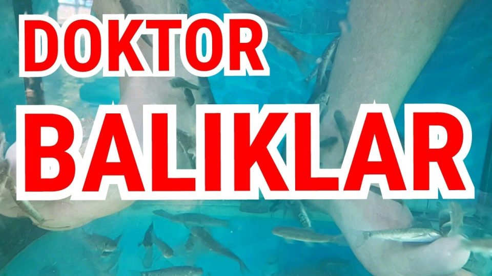 Doktor Balıklar - Balıklarla Tedavi Alanya Dimçayı Cennet Vadisi Piknik