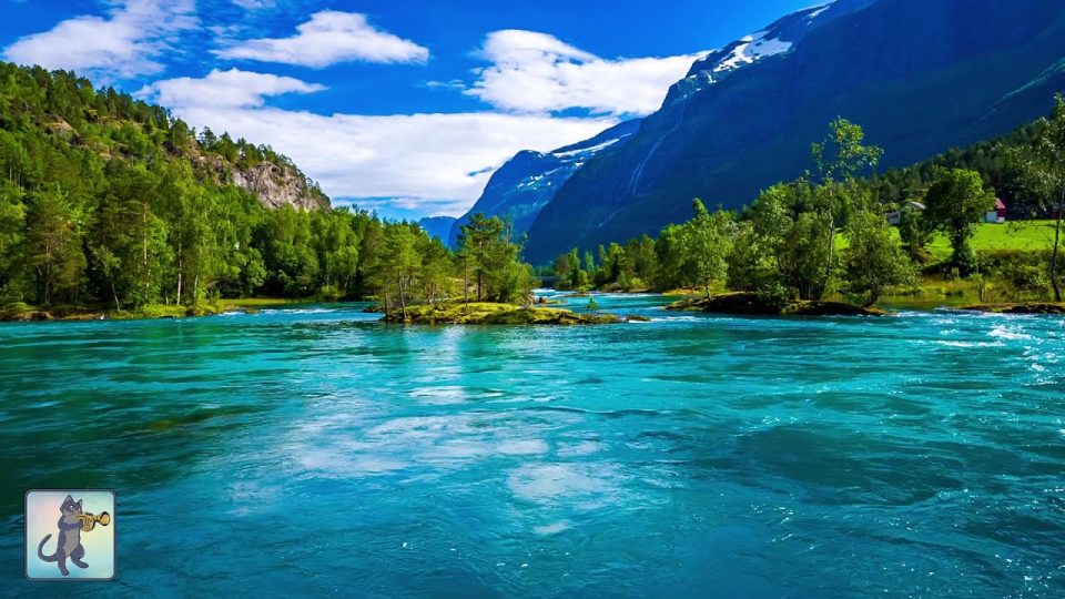 Amazing Nature Scenery - Video