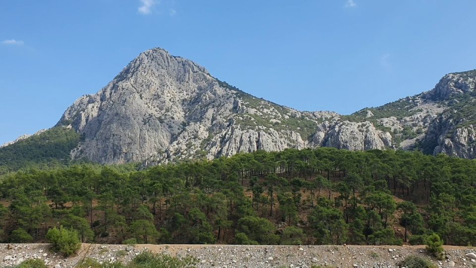 Antalya Doğal Güzellikleri Orman Manzarası - Hacısekililer Köyü