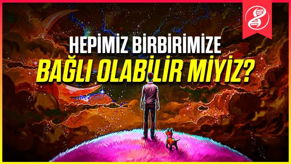 Her Şeyin Kökeni
