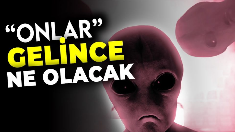 Uzaylılar gelirse ne olur ?
