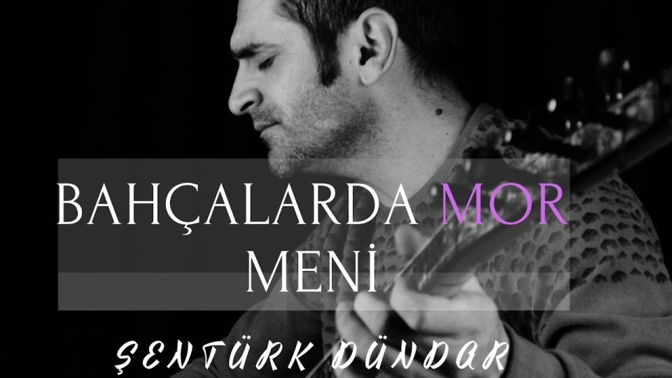 ŞENTÜRK DÜNDAR - Bahçalarda Mor Meni Sözleri