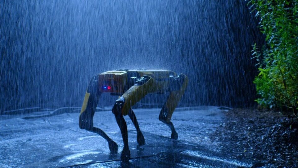 Robot köpeğin marifetleri - Olmaz denen şeyler bir bir oluyor
