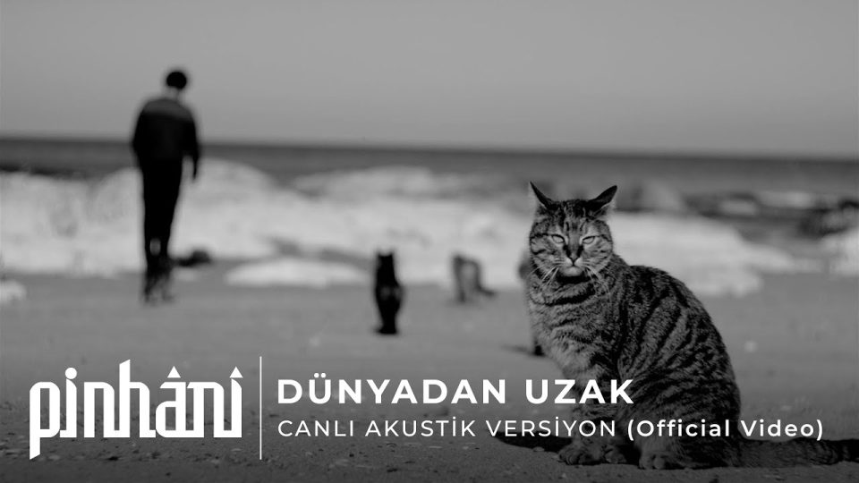 Pinhâni - Dünyadan Uzak Şarkı Sözleri