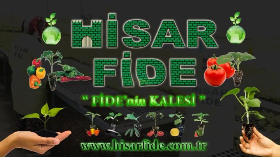 Biber Fidesi Nasıl Yetiştirilir Biber Marul Fidesi Çeşitleri Fiyatları Satıcıları Hisar Fide