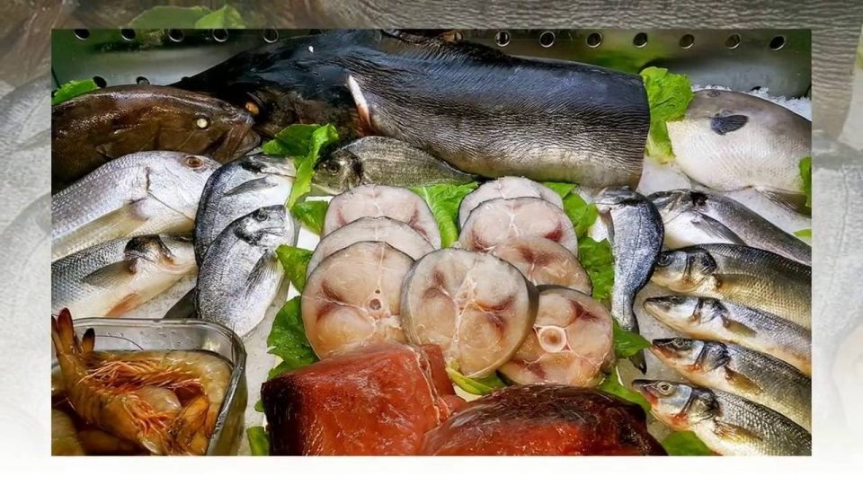 Antalya Yat Limanı Balık Restoranı 0536 3323032 antalya balık nerde yenir mekan tavsiyeleri balıkçı