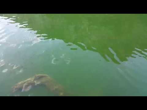Dalyan Gezilecek Yerler Dalyan Çayı Doğal Güzellikleri Dalyan Riverside