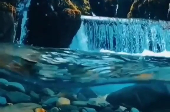 Suyun altındaki güzellik (video)