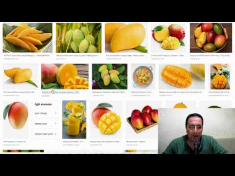 Sütlü mango shake nasıl yapılır? Sütlü mango shake tarifi - Google Trends