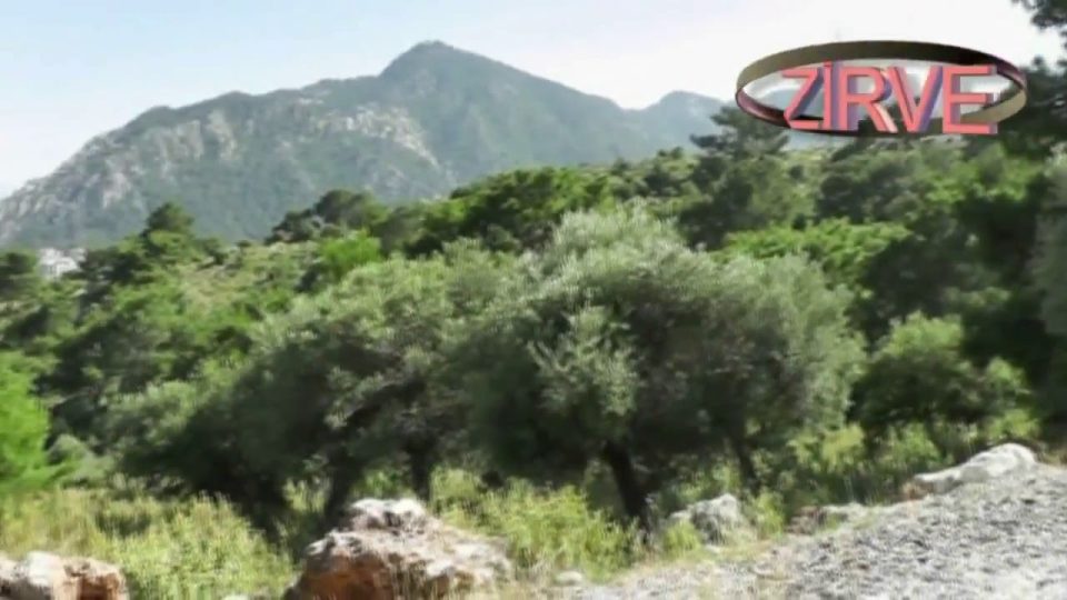 Zirve Alabalık - Hisarçandır Antalya