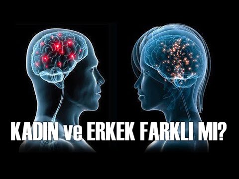 İnsanlarda kadınlık ve erkekliği belirleyen cinsiyet faktörleri nelerdir ? Kadınlık ve erkeklik zıtlık mı, geçişkenlik mi?