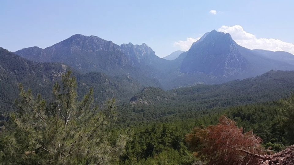 Altınyaka yolunda çam ormanı manzarası harika - Antalya Gezi Tatil