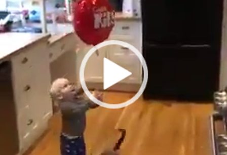 Akıllı kedinin yaptıkları görenleri şok etti - Komik Videolar
