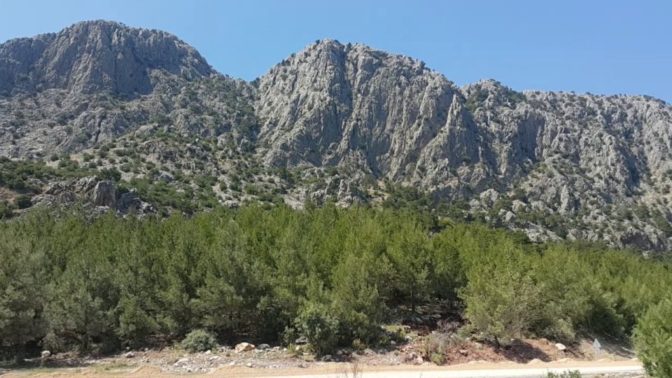 Altınyaka Yolu Orman ve Deniz Manzarası Konyaaltı Antalya