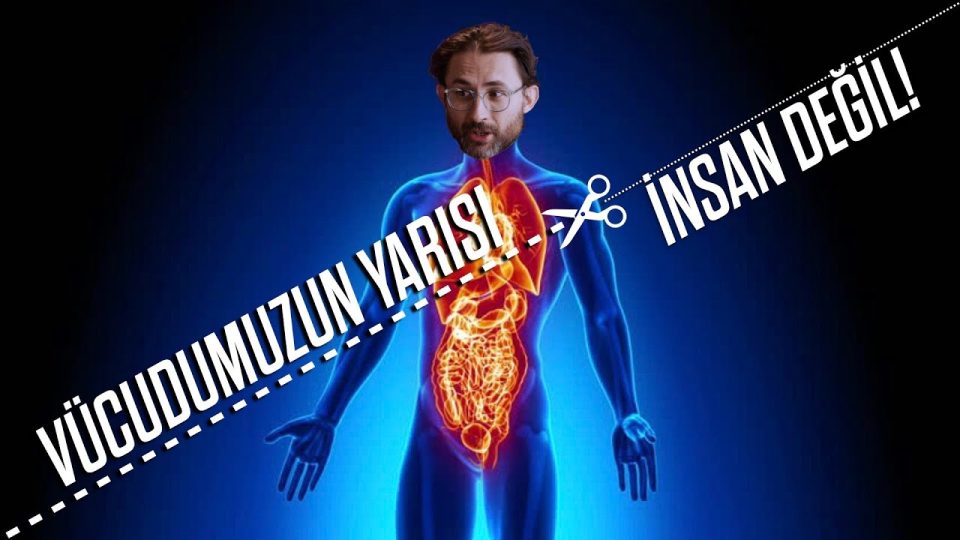 İçimizdeki bakteriler düşüncelerimizi etkiler mi ?