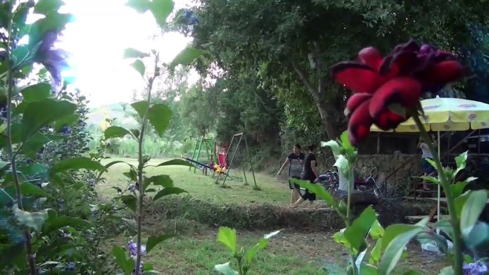 Şato Garden Restaurant Serik Restaurant Restoranlar Serik Gezilecek Yerleri