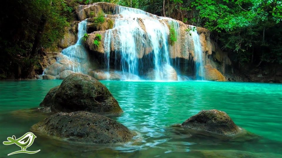 Su Sesleri ile Rahatlatıcı Zen Müziği • Spa, Yoga ve Rahatlamak için Huzurlu bir Ambiyans
