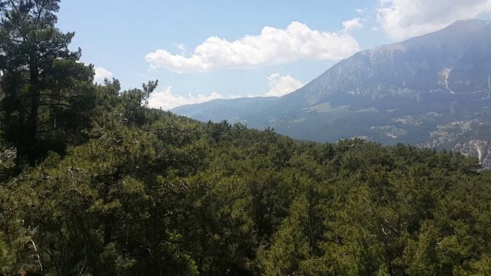 Antalya Altınyaka Yolundan Yayla Manzarası