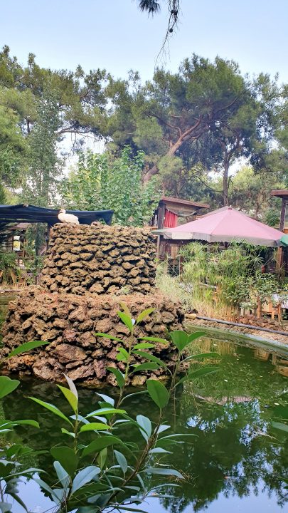 Çakırlar Gözleme Bazlamacılar - Antalya Kahvaltı Yerleri Arife Kır Sofrası