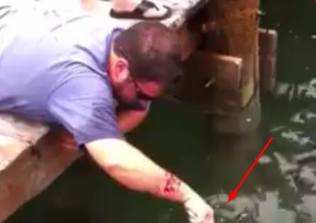 Balık avlamak isterken az daha balığa yem oluyordu