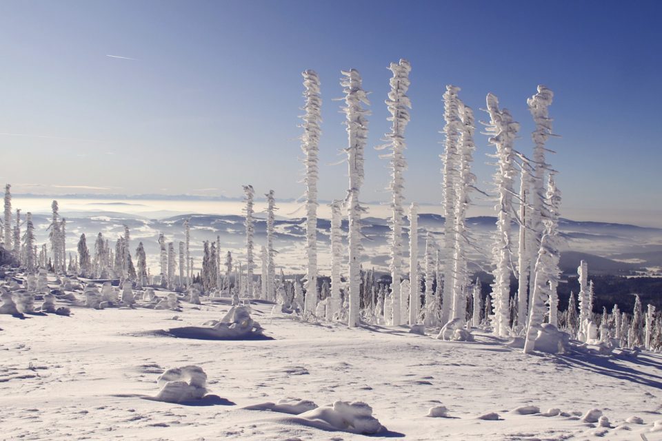 Naturschönheiten - Berge - Wälder - Landschaftsfotos