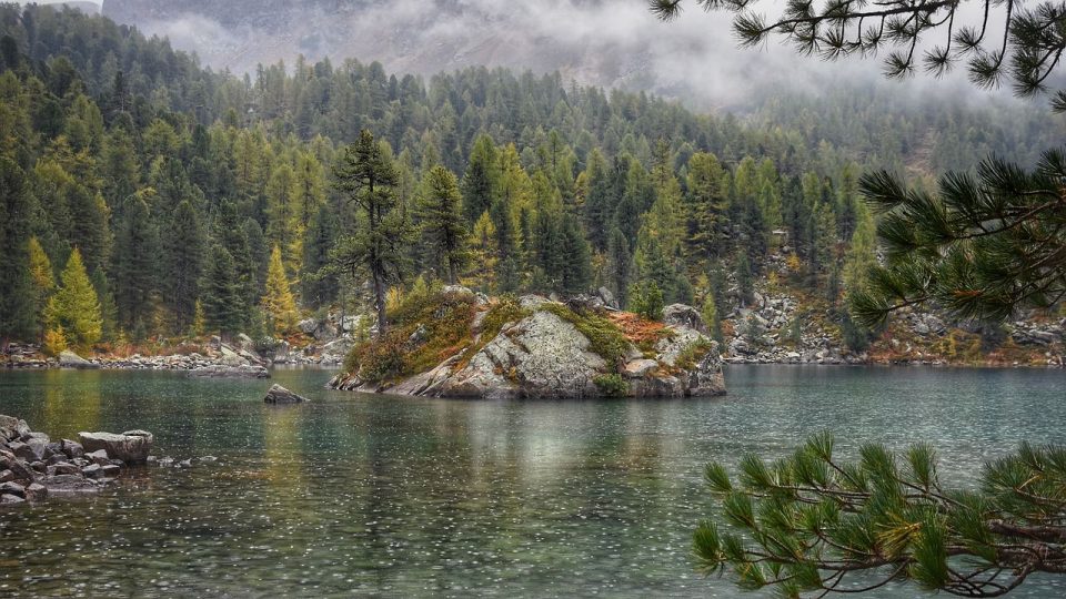 10 paesaggi forestali più belli - Foreste lussureggianti - Fotos di foresta