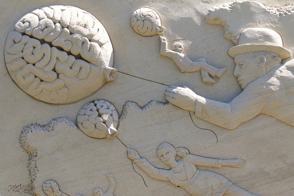 10 most important features of the human brain
