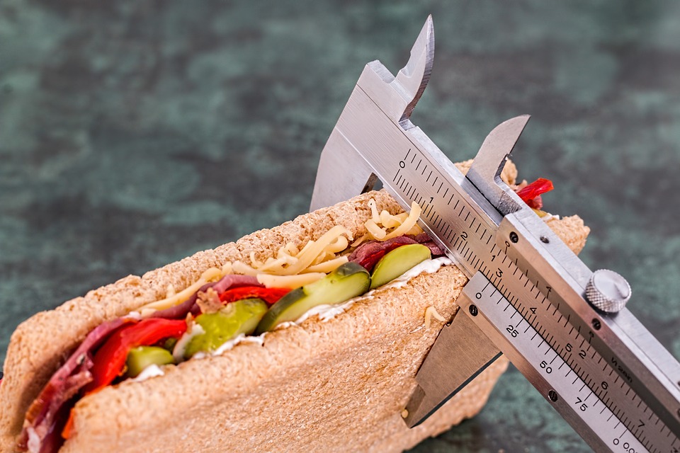 7 most important methods used to lose weight